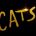 Cats – Big screen version of Andrew Lloyd Webber’s hit musical gets first trailer