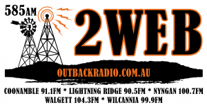 2WEB logo