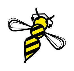 The Buzz Mcr logo