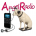 Angel Radio